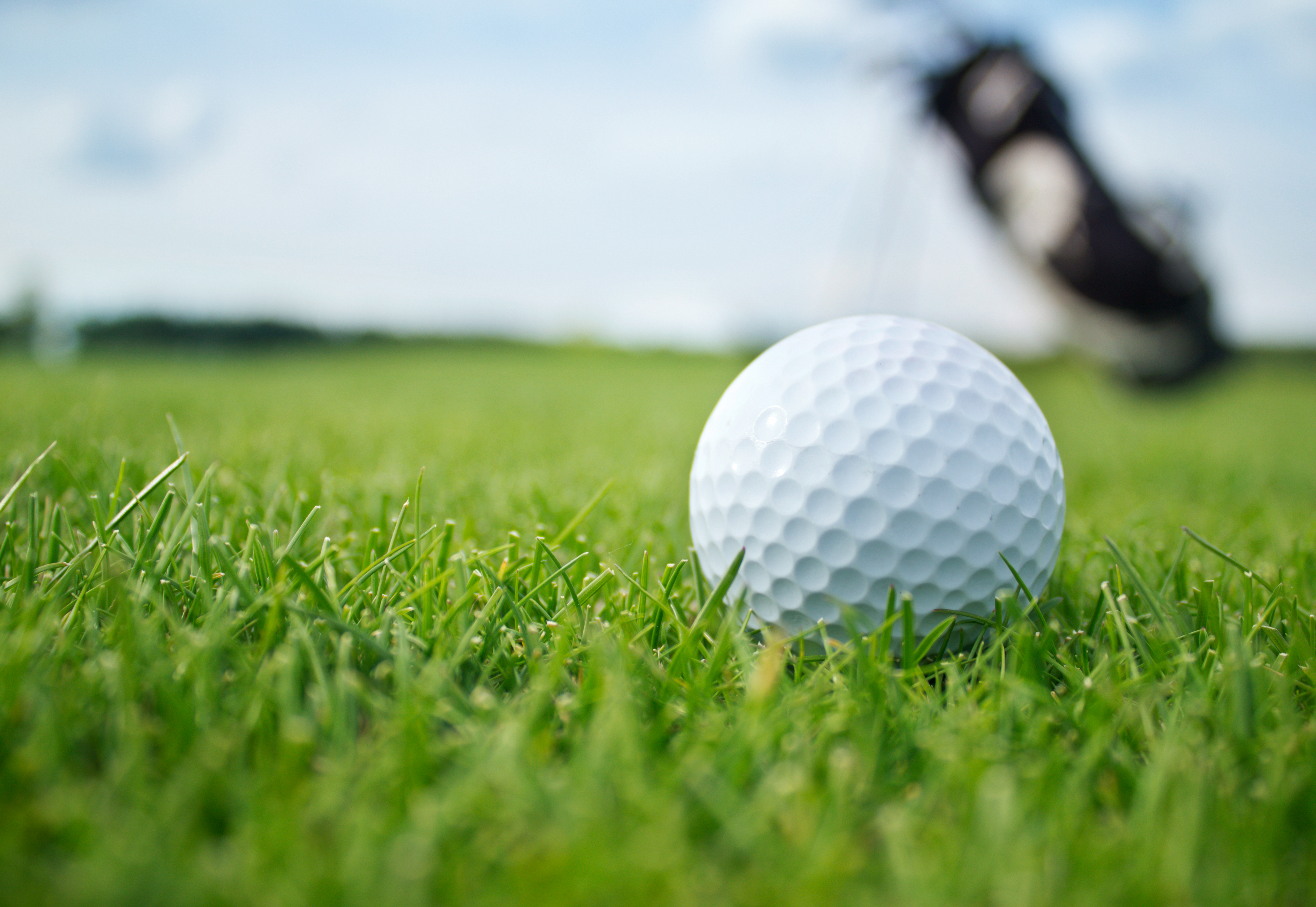 Polkemmet Family Golf Tournament image