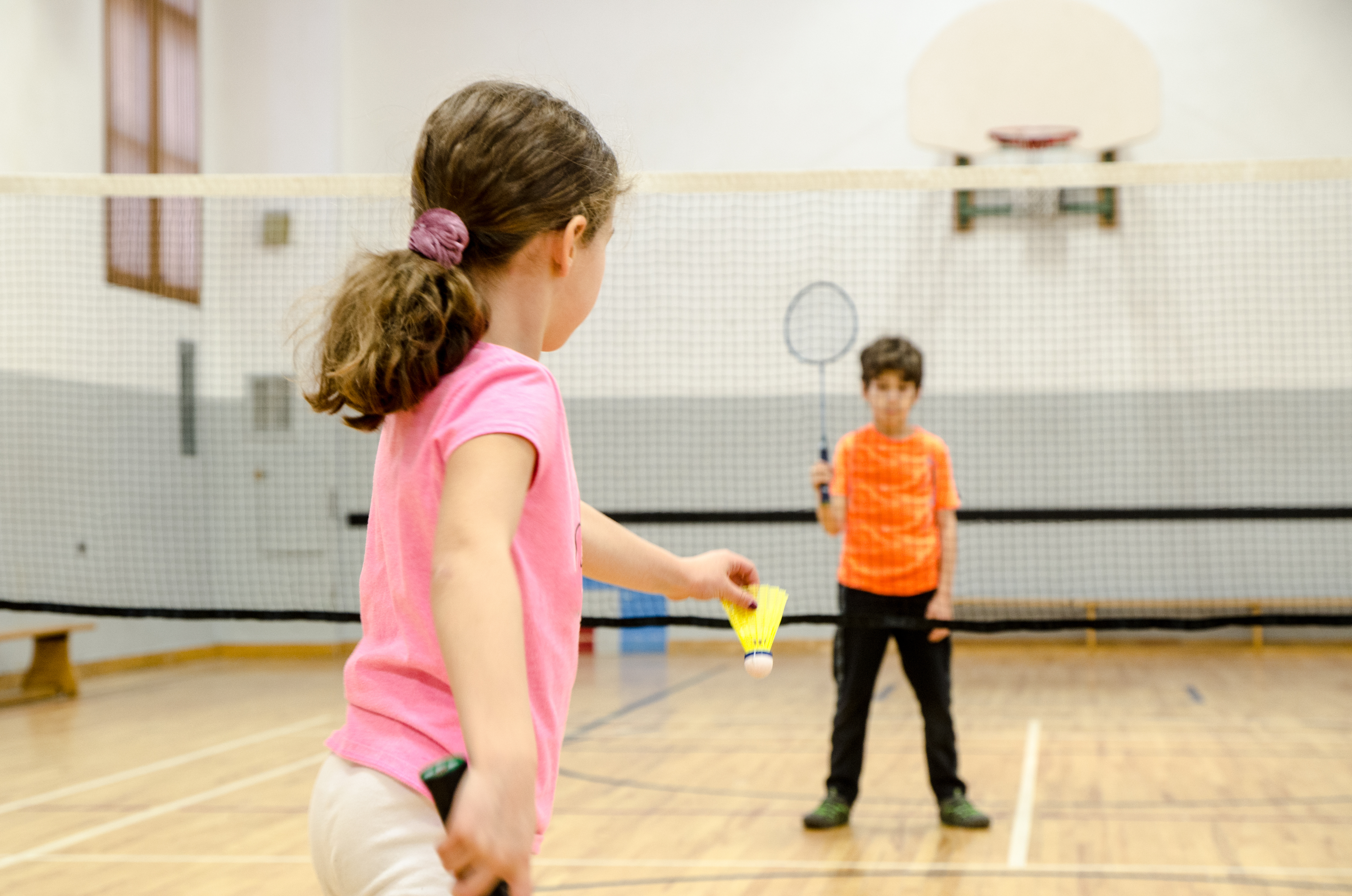 Badminton Coaching image